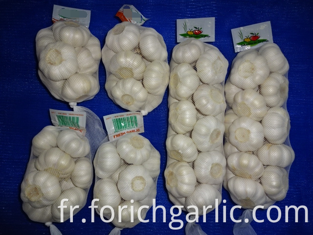 Fresh Pure Garlic New Crop 2019